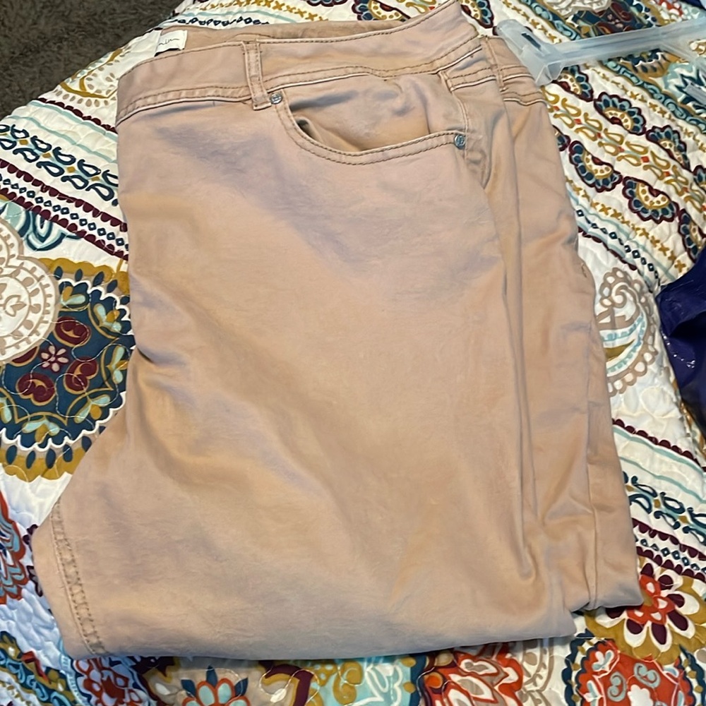 Cato tan capris